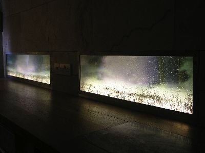 Kitchen Splashbacks Installed